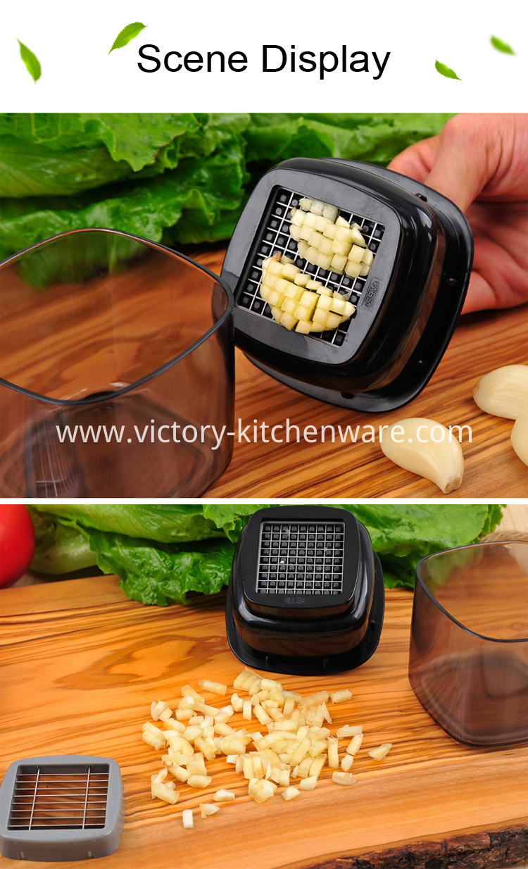 multi-function garlic press multi-function garlic press